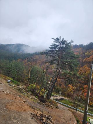 손을선님의 우리동네 가을단풍 자랑하기 · 참여글 작성글 사진