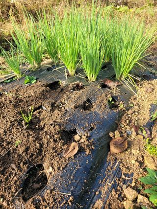 이의도님의 자유주제 · 자유게시판 작성글 사진