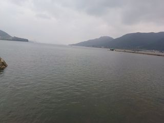 오영도님의 자유주제 · 자유게시판 작성글 사진