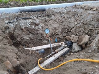 오영도님의 자유주제 · 자유게시판 작성글 사진