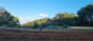 보민님의 들깨 · 영농일지 작성글 사진