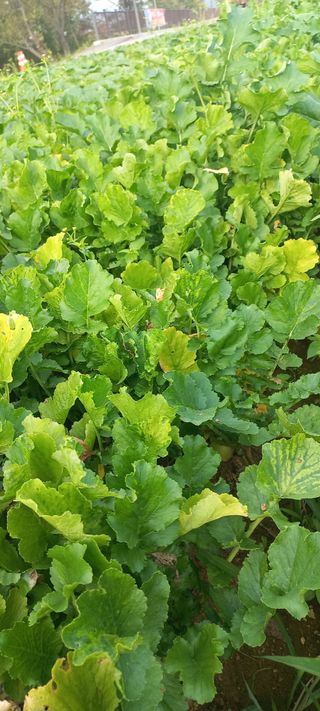 강정순님의 자유주제 · 자유게시판 작성글 사진