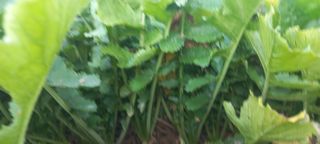 강정순님의 자유주제 · 자유게시판 작성글 사진