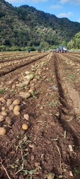 팜모닝 자유주제·자유게시판 게시글 이미지