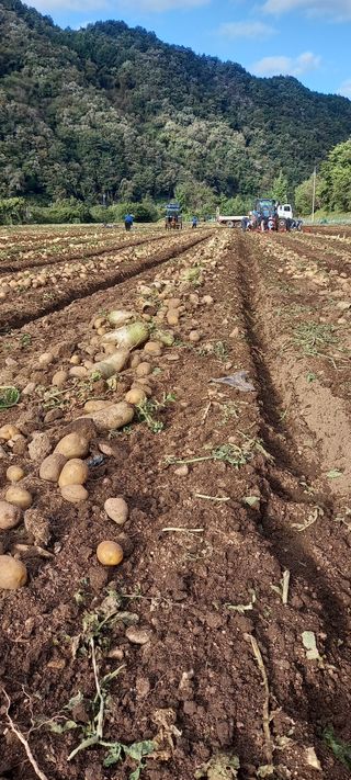 자두6480님의 자유주제 · 자유게시판 작성글 사진