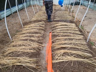 경주농장님의 작성글 사진