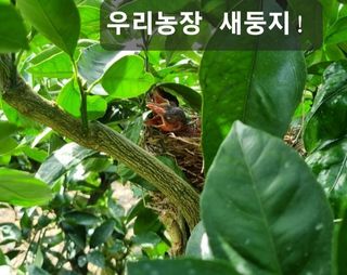 송응준님의 작성글 사진