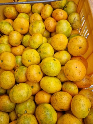 송응준님의 작성글 사진