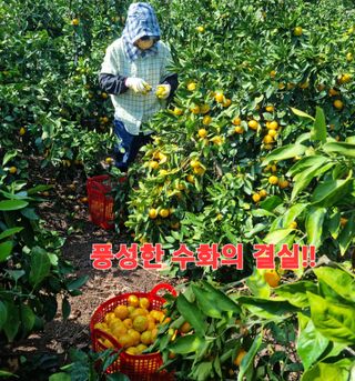 송응준님의 작성글 사진