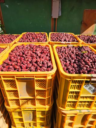 배성은365님의 마늘 · 영농일지 작성글 사진