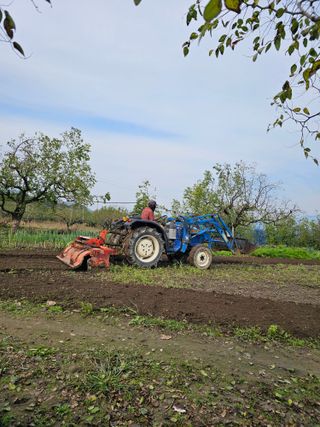 배성은365님의 마늘 · 영농일지 작성글 사진