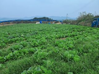 천년의사랑님의 자유주제 · 자유게시판 작성글 사진