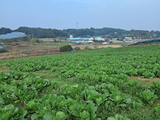 천년의사랑님의 자유주제 · 자유게시판 작성글 사진