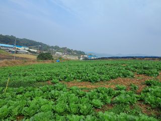 천년의사랑님의 자유주제 · 자유게시판 작성글 사진