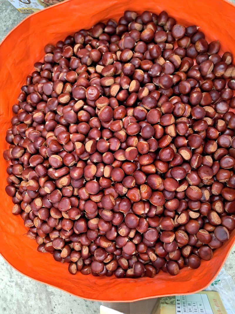 강의숙님의 장터 판매 상품 [공주정안밤 대보옥광] 첨부 사진