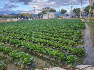 손정아님의 자유주제 · 자유게시판 작성글 사진