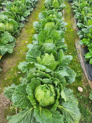 손정아님의 자유주제 · 자유게시판 작성글 사진