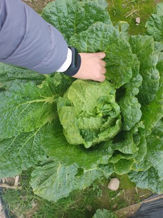 손정아님의 자유주제 · 자유게시판 작성글 사진