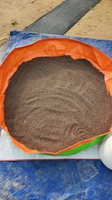 팜모닝 들깨·영농일지 게시글 이미지