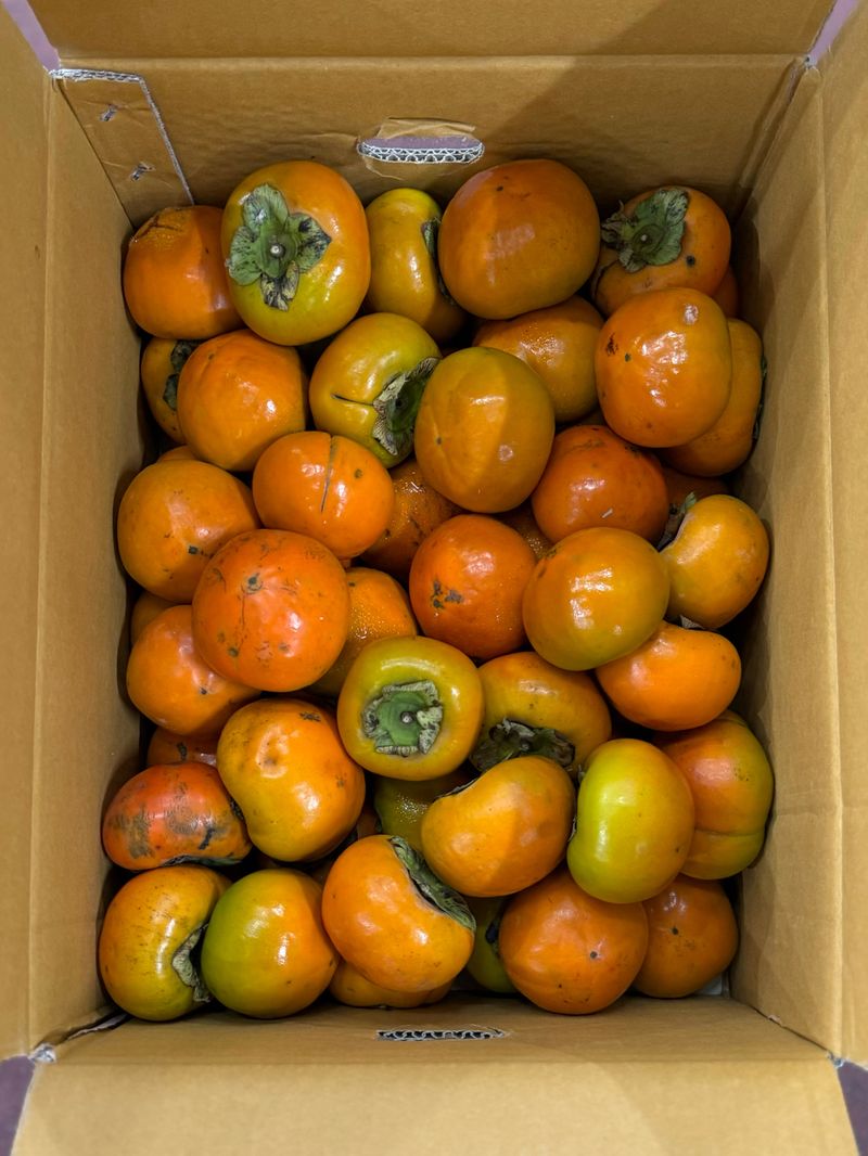 농부손녀님의 장터 판매 상품 [가을단풍 햇 단감 10kg ] 첨부 사진