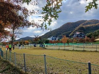 행복한일상님의 자유주제 · 사진전 작성글 사진