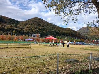 행복한일상님의 자유주제 · 사진전 작성글 사진