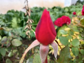 행복한일상님의 자유주제 · 사진전 작성글 사진