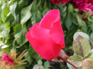 행복한일상님의 자유주제 · 사진전 작성글 사진