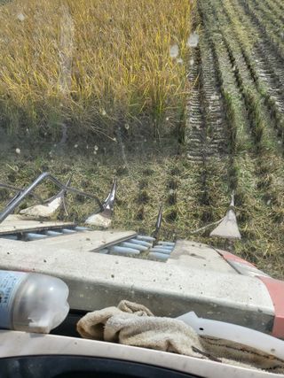 김영진(전남영광)님의 자유주제 · 자유게시판 작성글 사진