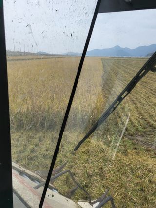 김영진(전남영광)님의 자유주제 · 자유게시판 작성글 사진