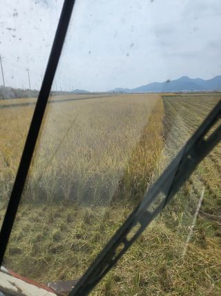 김영진(전남영광)님의 자유주제 · 자유게시판 작성글 사진