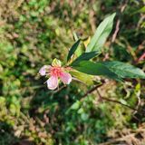 팜모닝 자유주제·자유게시판 게시글 이미지