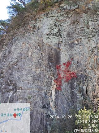 사구실첫집님의 자유주제 · 자유게시판 작성글 사진