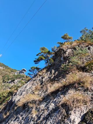 사구실첫집님의 자유주제 · 자유게시판 작성글 사진