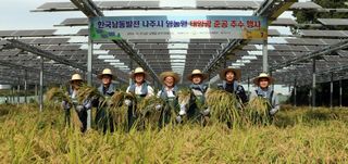 국중선님의 자유주제 · 자유게시판 작성글 사진