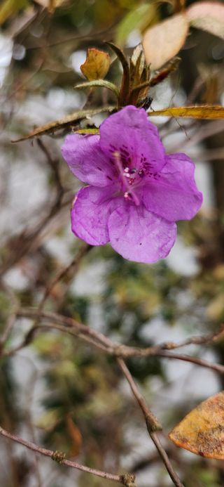하은와송~♡♡♡~님의 자유주제 · 자유게시판 작성글 사진