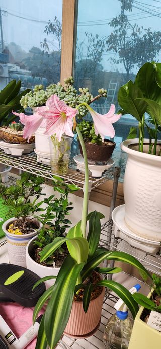 하은와송~♡♡♡~님의 자유주제 · 자유게시판 작성글 사진