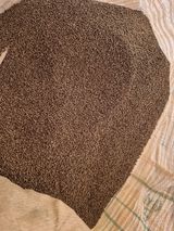 팜모닝 · 게시글 이미지