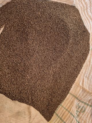 김동희님의 작성글 사진