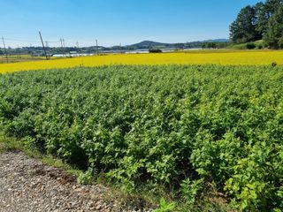 김동희님의 작성글 사진