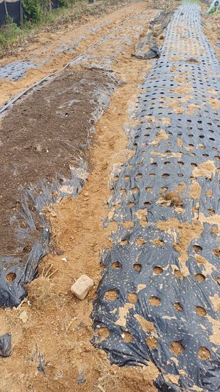 박순덕님의 자유주제 · 자유게시판 작성글 사진