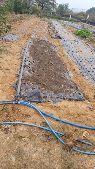 박순덕님의 자유주제 · 자유게시판 작성글 사진