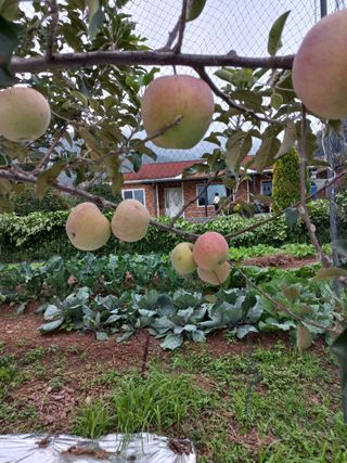 심무재 님의 자유주제 · 자유게시판 작성글 사진