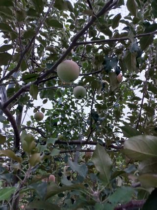 심무재 님의 자유주제 · 자유게시판 작성글 사진