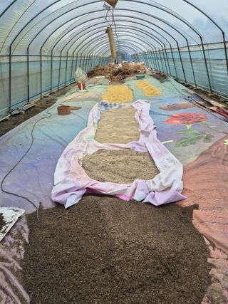 착한농부 안병하님의 마늘 · 영농일지 작성글 사진