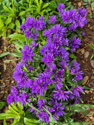 김정술님의 자유주제 · 자유게시판 작성글 사진