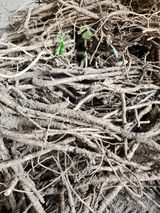 팜모닝 · 게시글 이미지