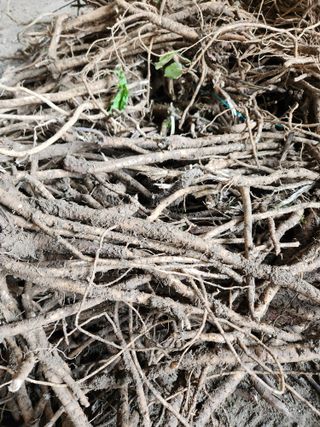 윤미선(농경채인증님의 작성글 사진