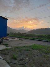 팜모닝 팜모닝·출석 게시글 이미지