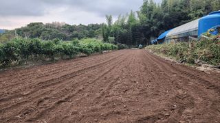 이종열님의 자유주제 · 자유게시판 작성글 사진